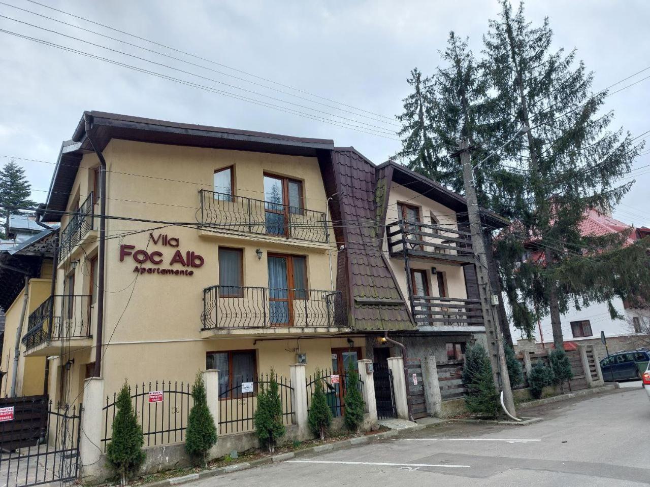Vila Foc Alb Apartamente-Buşteni Eksteriør billede